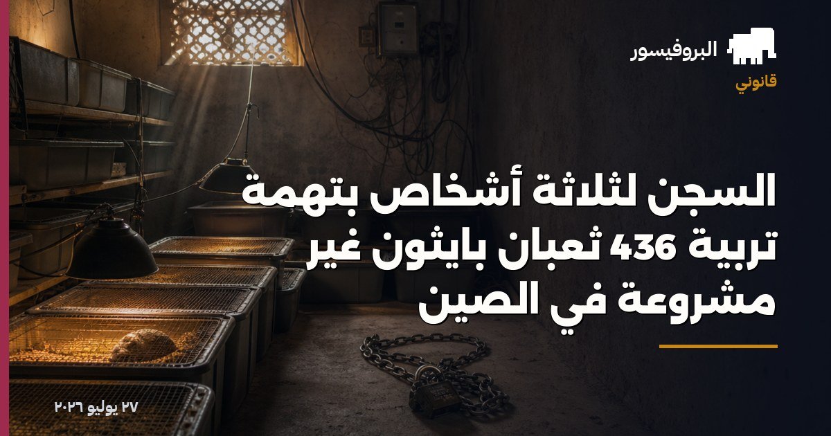 السجن لثلاثة أشخاص بتهمة تربية 436 ثعبان بايثون غير مشروعة في الصين